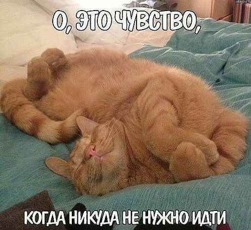 когдАниКУМк