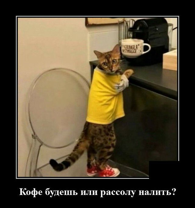 Кофе будешь или рассолу налить