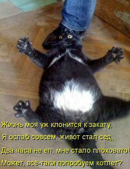 Может в га 1 ИБОТ СТЗ КИ ГЮП Ю
