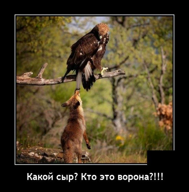Кто это ворона й сыр Како