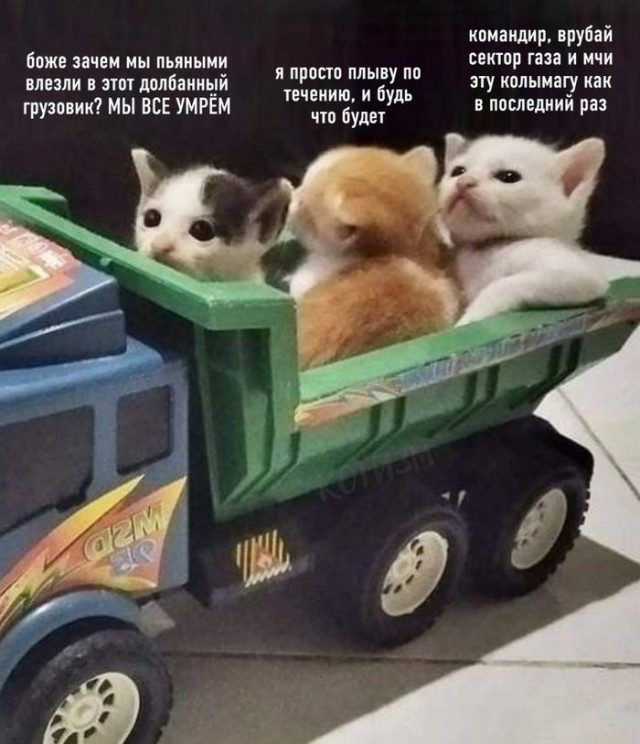 ипиашшр врубай СВИТ газа И МЧИ ЁПЖЕ зачем МЫ ПЬЯИЫМИ ЩШПП ПЛЫВУ 0 Р течению и будь что будет влезли тт долбанный груцовик МЫ ВСЕ УМРЕМ эту колымагу как в последний раз