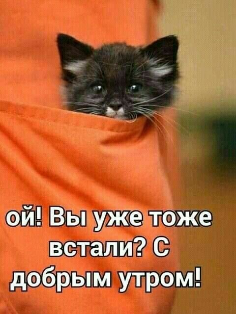 эй ВЁйвуже тоже встапич дгэібрЫм утром