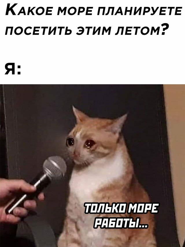КАКОЕ МОРЕ ПЛАНИРУЕТЕ ПОСЕТИТЬ ЭТИМ ЛЕТОМ Я т_плькп маш _ рдвпты 31