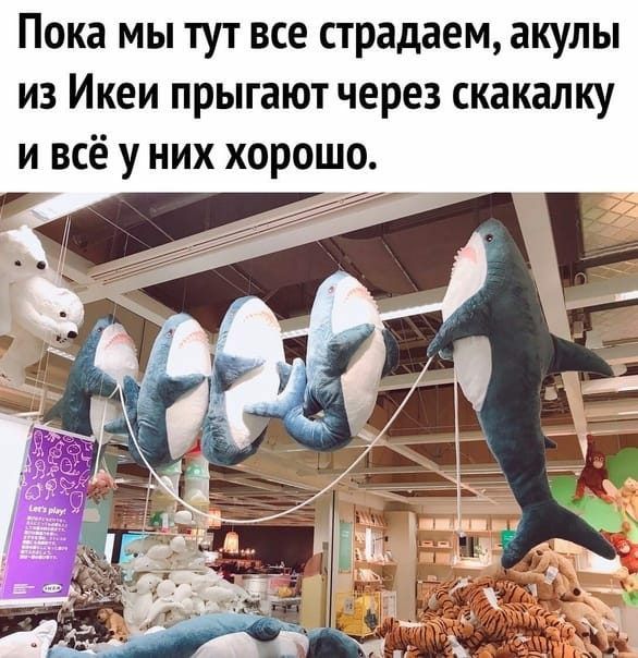 Пока мы тут все страдаем акулы из Икеи прыгают через скакалку и всё у них хорошо