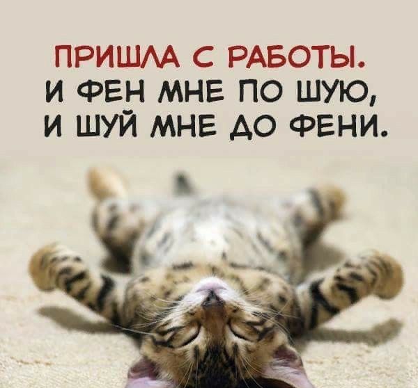 ПРИШАА С РАБОТЫ И ФЕН МНЕ ПО ШУЮ И ШУЙ МНЕ АО ФЕНИ