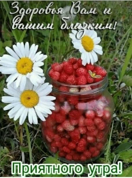 Приятного удав