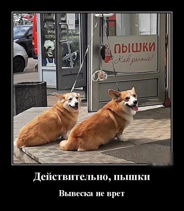 Действительно пышки Вывеска не врет