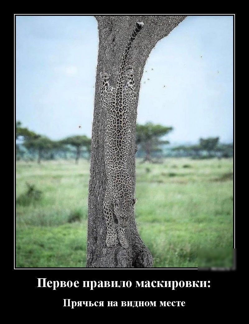 Первое правило маскировки ПРЯЧЬСЯ на видном месте