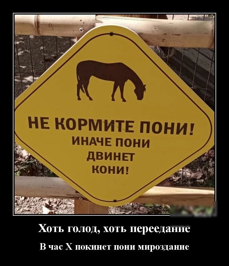 Хоть голод хоть переедание В час Х покинет пони мироздание