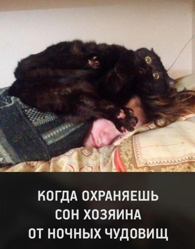 КОГДА ОХРАНЯЕШЬ СОН ХОЗЯИНА ОТ НОЧНЫХ ЧУДОВИЩ