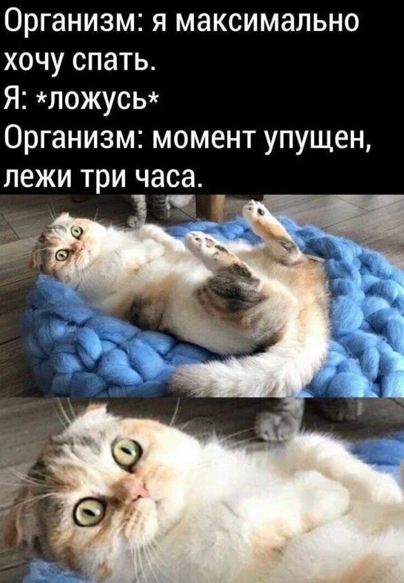 Организм я максимально хочу спать Я ложусь Организм момент упущен ЛЕЖИ три часа