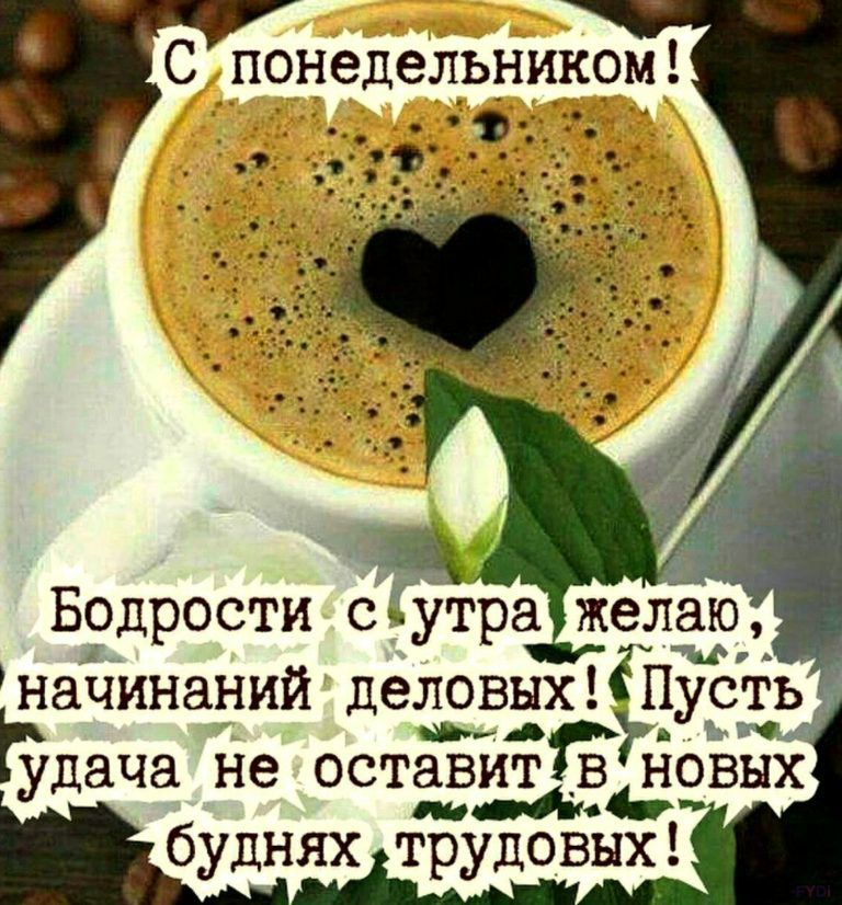 С понедельником Бодрости с Утра желаю наЧИнаний деловых15Пусть 0 С удача не 0 ТЗВИТ ЁЁОВЫХ будняхтрудовых