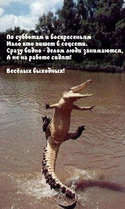 По субботам и доспреппьпм Мам кто пишет соцсети Срд видио Эсми моди занимаются А не на работе сидят Весёмш дыкодиыі