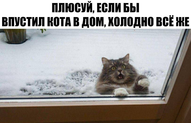 ппюоой Если вы __ впоотионотп в дом холодно во же