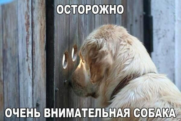 ОСЁТОРФГЁЖНО