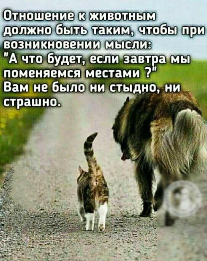 Отношение в быть аши чтобудет если завт поменяемся местами