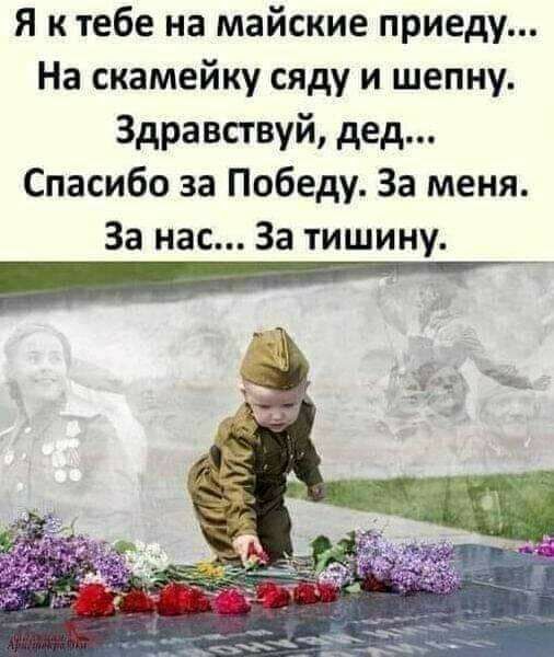 Я к тебе на майские приеду На скамейку сяду и шепну Здравствуй дед Спасибо за Победу За меня За нас За тишину
