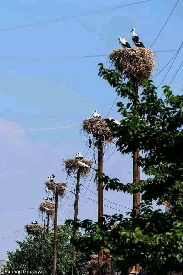 Ышуп Заветуап