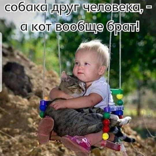 Собс'кслёр»гчелэвк
