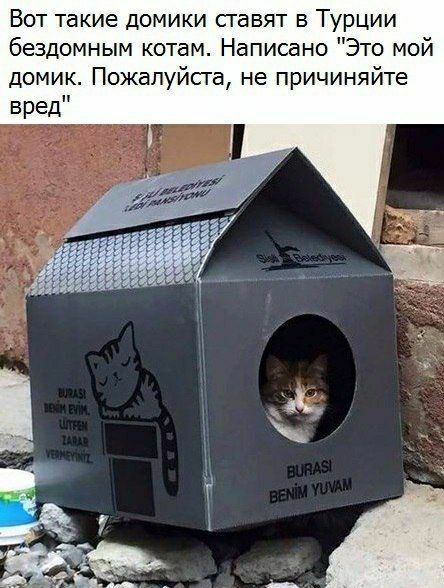 Вот такие домики сгавят в Турции бездомным котам Написано Это мой домик Пожалуйста не причиняйте