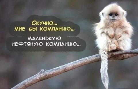 Скучно мнг вы компднию МАЛЕНЬКУЮ НЕФТ9НУЮ КОМПАНИЮ