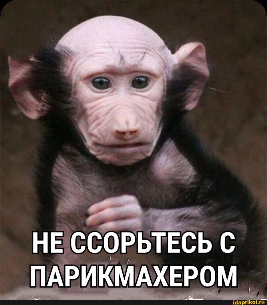 НЕ ССОРЬТЕСЬ С