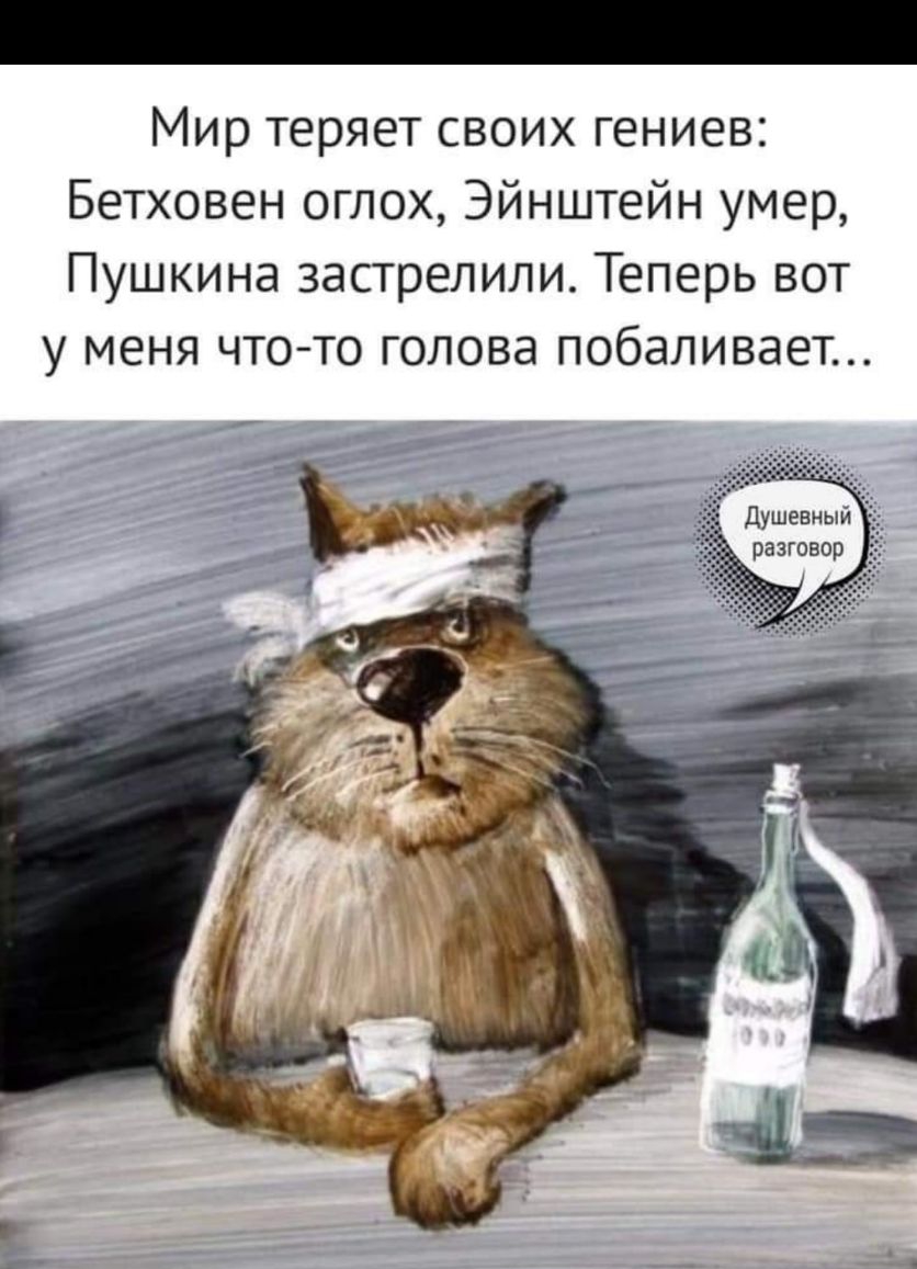 Мир теряет своих гениев Бетховен оглох Эйнштейн умер Пушкина застрелили Теперь вот у меня чтото голова побаливает Душевный разговор