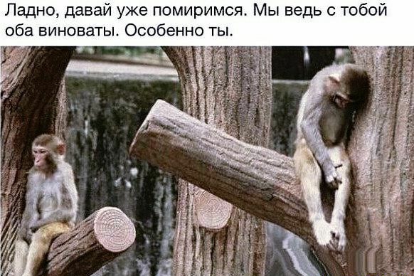Ладно давай уже помиримся Мы ведь с тобой оба виноваты Особенно ты