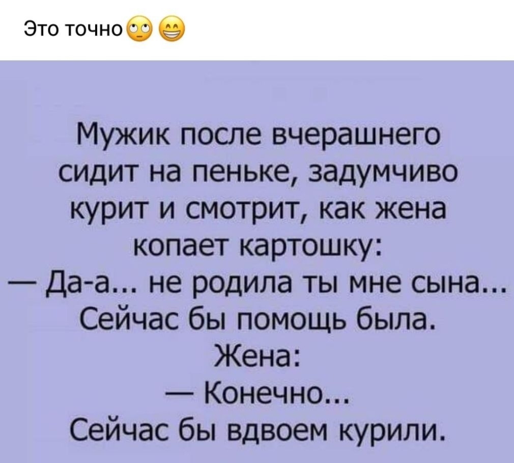 Это точноф Мужик после вчерашнего сидит на пеньке задумчиво курит и смотрит как жена копает картошку Да а не родила ты мне сына Сейчас бы помощь была Жена Конечно Сейчас бы вдвоем курили