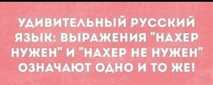 удивитмьный русский языи вымжвния ндхвр нужны и НАХЕР не нужны озНАчАют одно и то жы