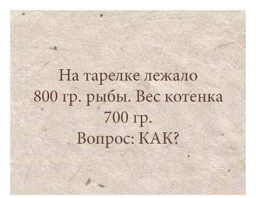д На тарелке лежало 800 гр рыбы Вес котенка 700 гр Вопрос КАК
