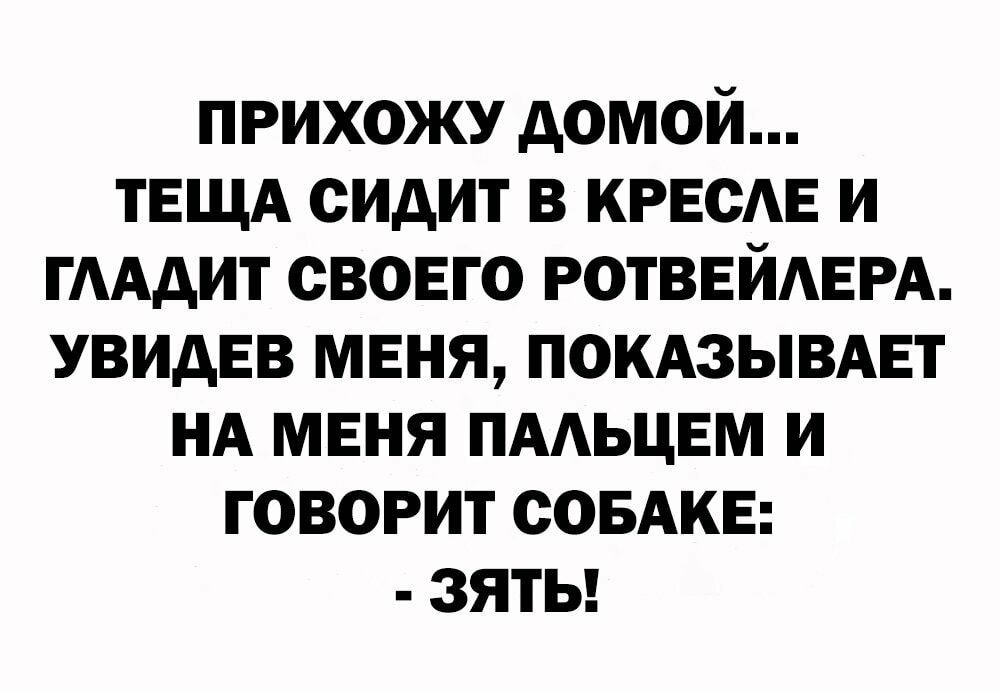 Однажды прихожу домой. Прихожу домой и глажу свою собаку.