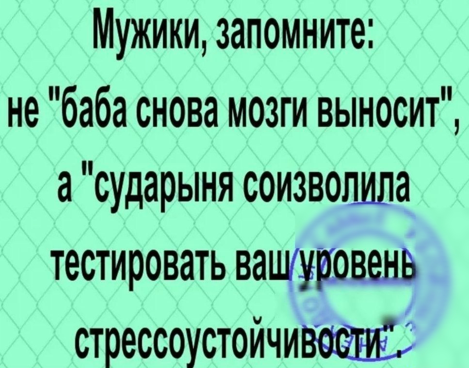 Мужики запомните не баба снова мозги выносит а сударыня соизвотшла тестировать ващиовенв стрессоустойчи