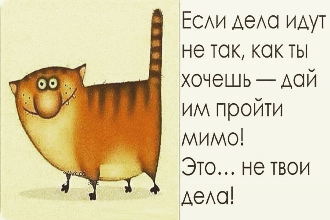 ЕСАИ АеАо идут не ток кок ты хочешь дой им пройти мимо Это не твои АеАо