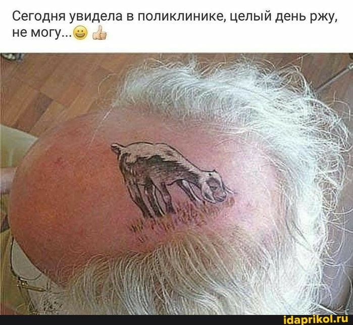 Сегодня увидела в поликлинике целый день ржу не могу Шарп оги
