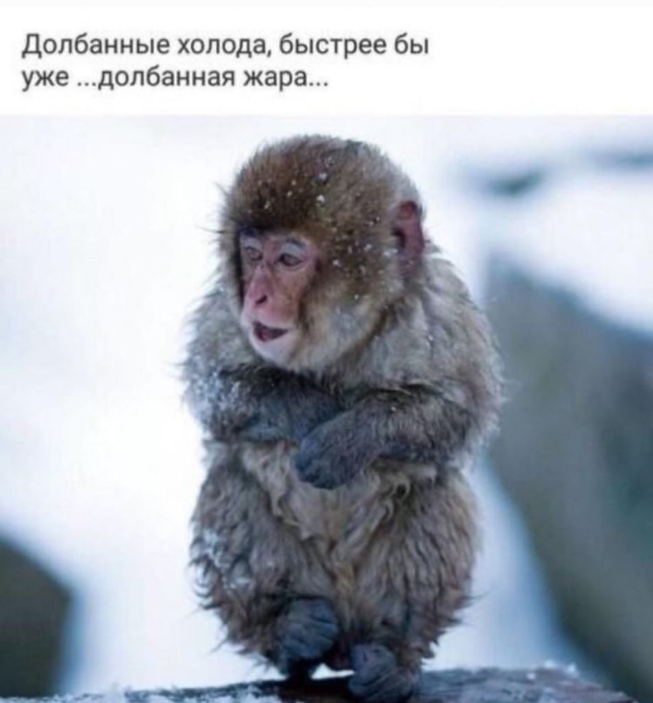 Долбанные холода быстрее бы уже долбанная жара