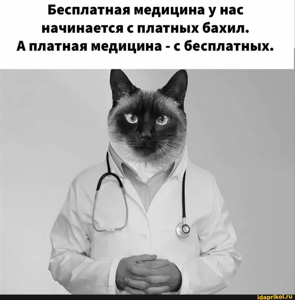 Бесплатная медицина У нас начинается С платных бахил А ПЛЗТНЗЯ медицина С бесплатных