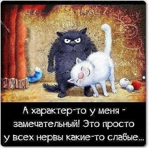 А характерто у меня замечательный Это просто у всех нервы какие то слабые