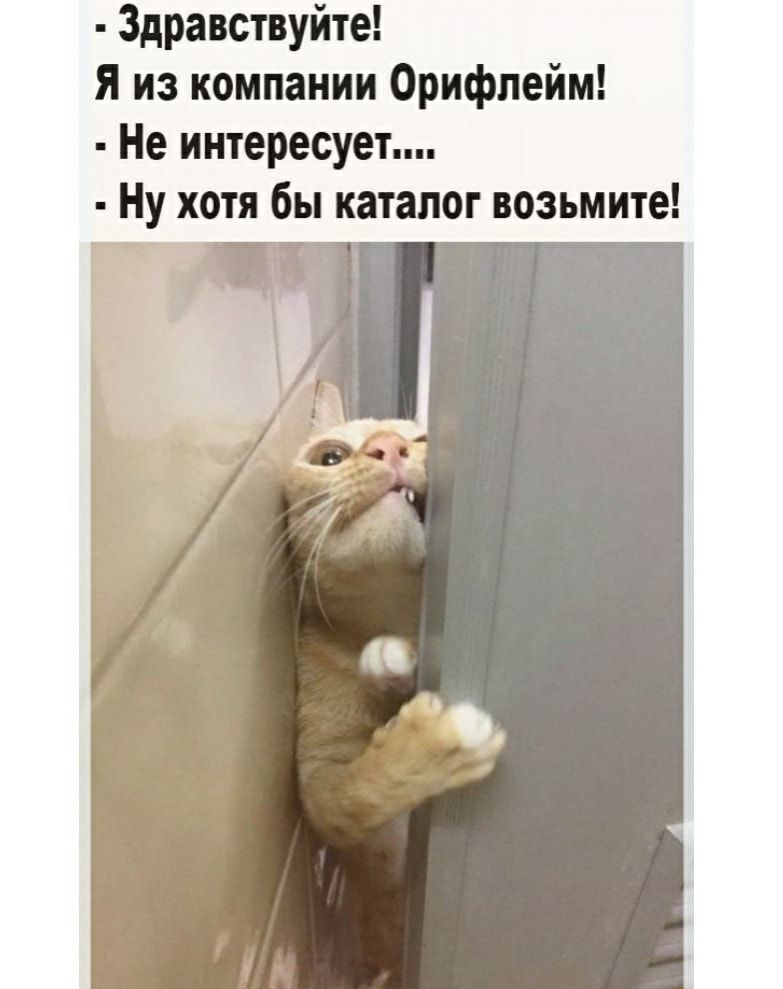 Здравствуйте я из компании Орифлейм Не интересует Ну хотя бы каталог возьмите
