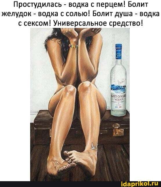 Простудилась водка с перцем Болит желудок водка с солью Болит душа водка с сексом Универсарьное средство