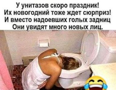 У унитазов скоро праздник Их новогодний тоже ждет сюрприз И вместо надоевших голых задниц Они увидят м_и_ого_ новы пиц_