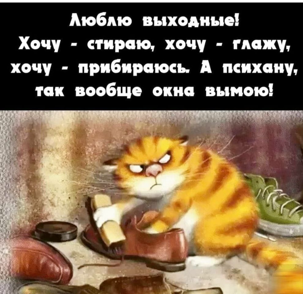 Мобмо выходные Хочу стираю хочу ножу хочу прибироюсь А психоиу так вообще окно вымою