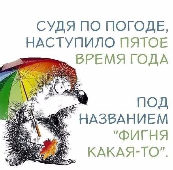 СУДЯ ПО ПОГОДЕ НАСТУПИЛО ПЯТОЕ ВРЕМЯ ГОДА ПОД НАЗВАНИЕМ ФИГНЯ КАКАЯ ТО