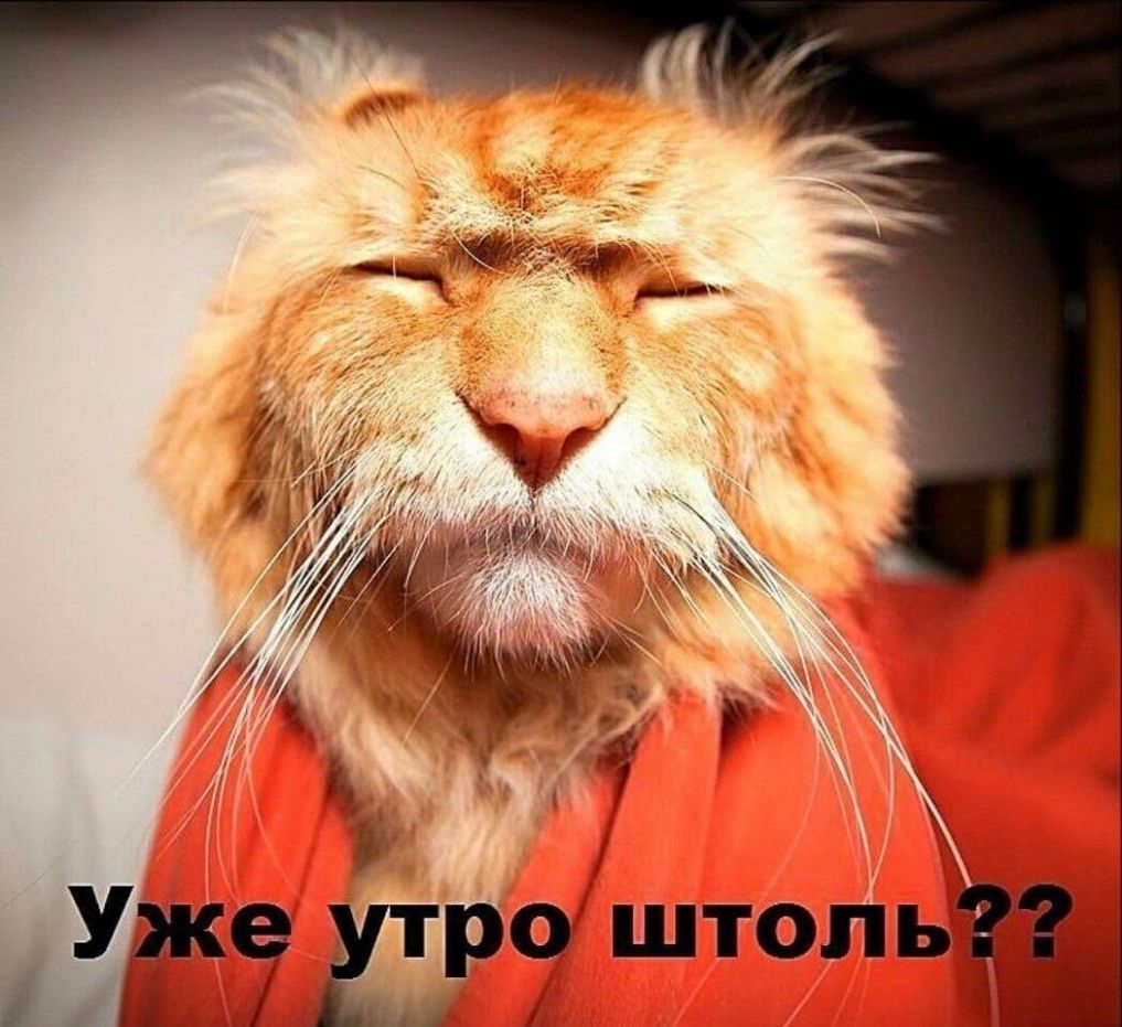 Т ад штл