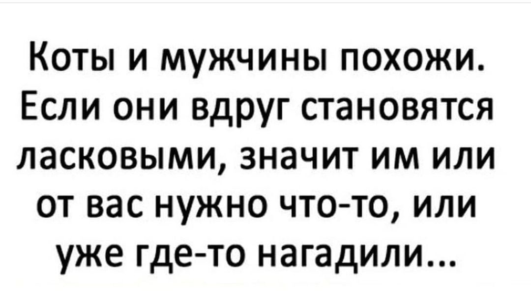 Коты и мужчины похожи Если они вдруг становятся ласковыми значит им или от вас нужно чтото или уже гдето нагадили