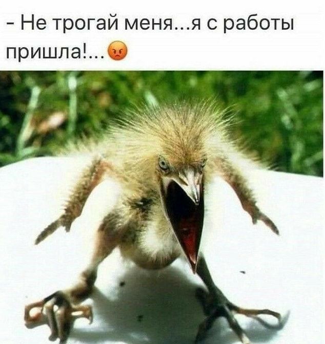 Не трогай меняя с работы пришла