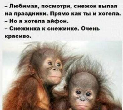 Любин мс щи вис ш пнпш и пришки Пино кк ты и хот пц Но хотм яйфои Спс кишк к сникпик Очсиь вкр сип