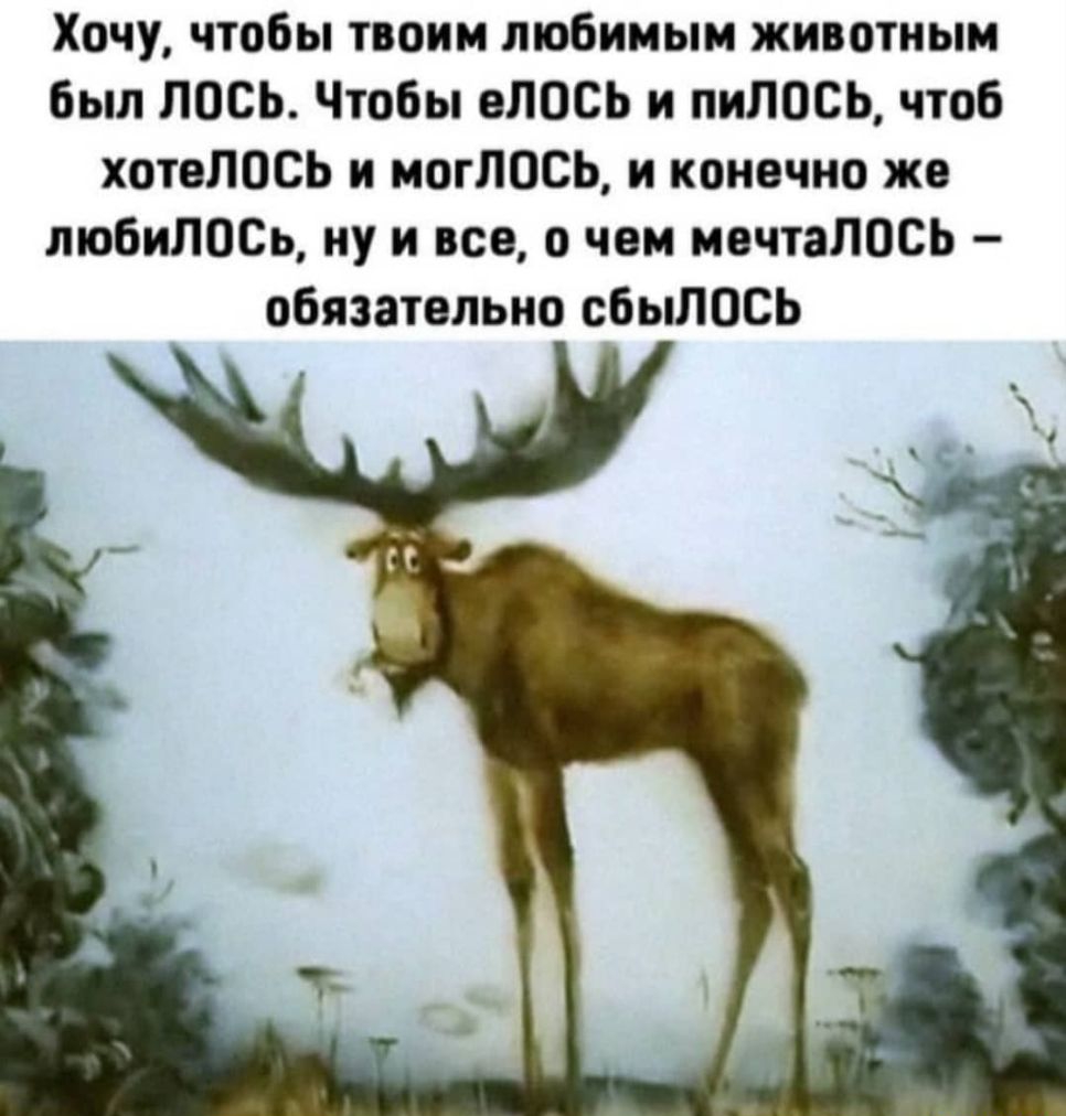 Хочу чтобы твоим любимым животным Был лось Чтобы здесь и пиЛОСЬ чтоб хотелось и могЛОСЬ и конечно же любиЛОСь ну и все о чем мечталось обязательно сбылось