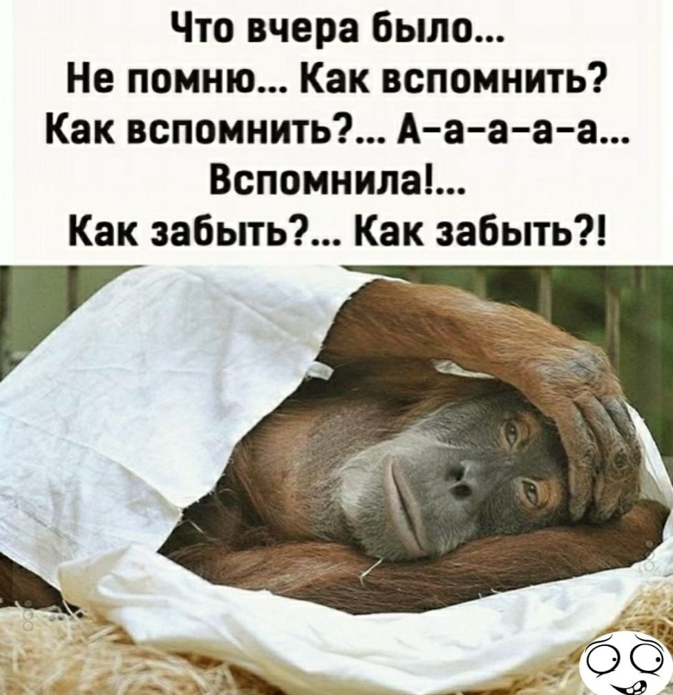 Что вчера было Не помню Как вспомнить Как вспомнить А аа а а Вспомнила Как забыть Как забыть