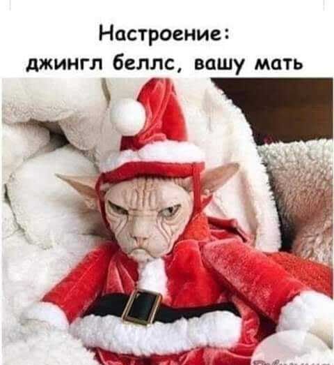 Настроение джингл беллс вашу мать